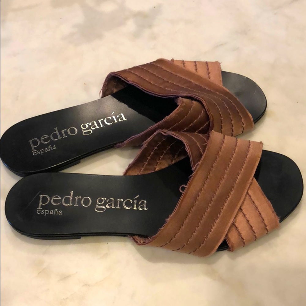 Pedro Garcia slides 35.5
